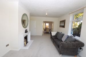 Lounge- click for photo gallery